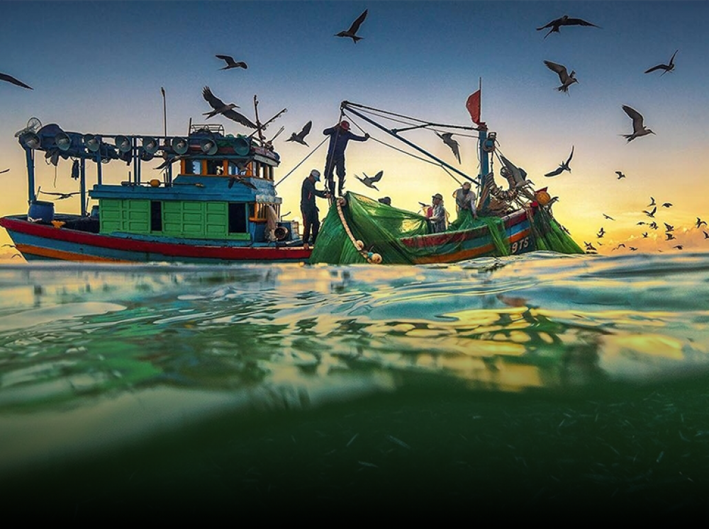 Ngẫm Chuyện đời quanh chén nước mắm